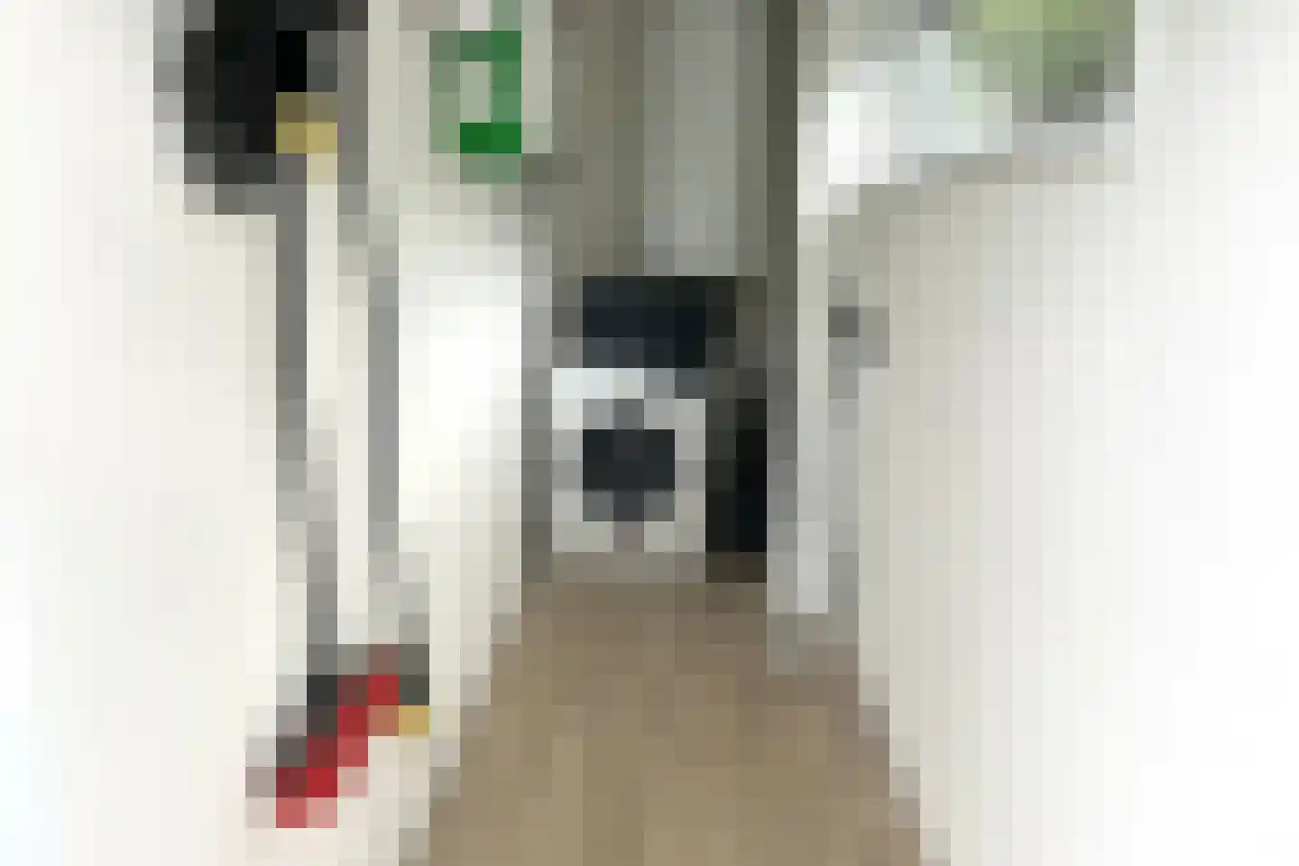 Bathmenseweg 7 H442 Kring van Dorth thumbnail 17