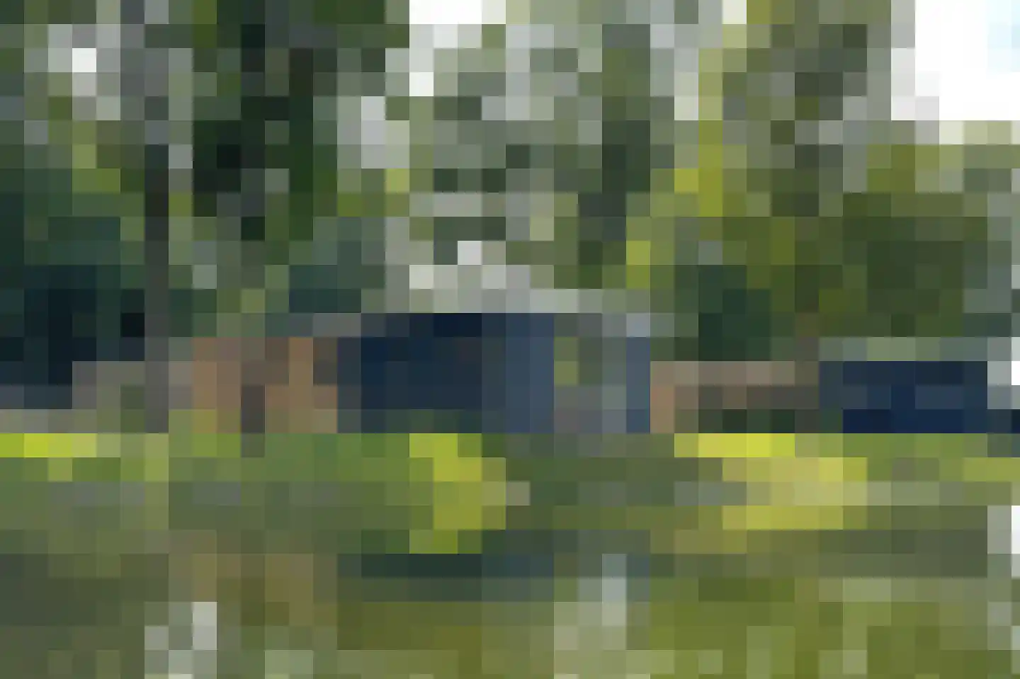 Bathmenseweg 7 H442 Kring van Dorth thumbnail 4