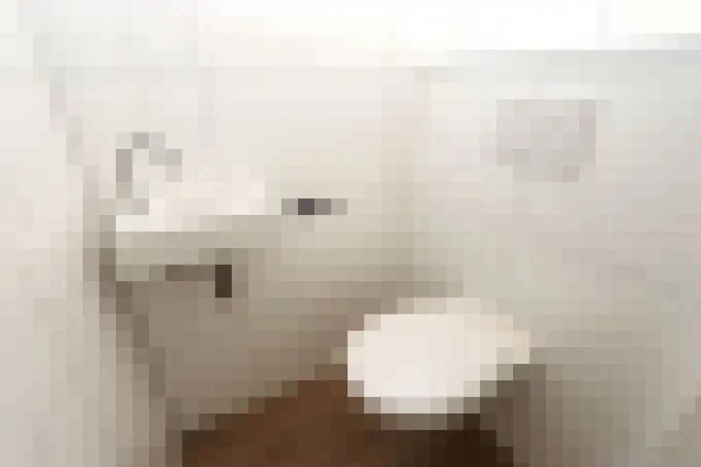 Bathmenseweg 7 H516 Kring van Dorth thumbnail 19