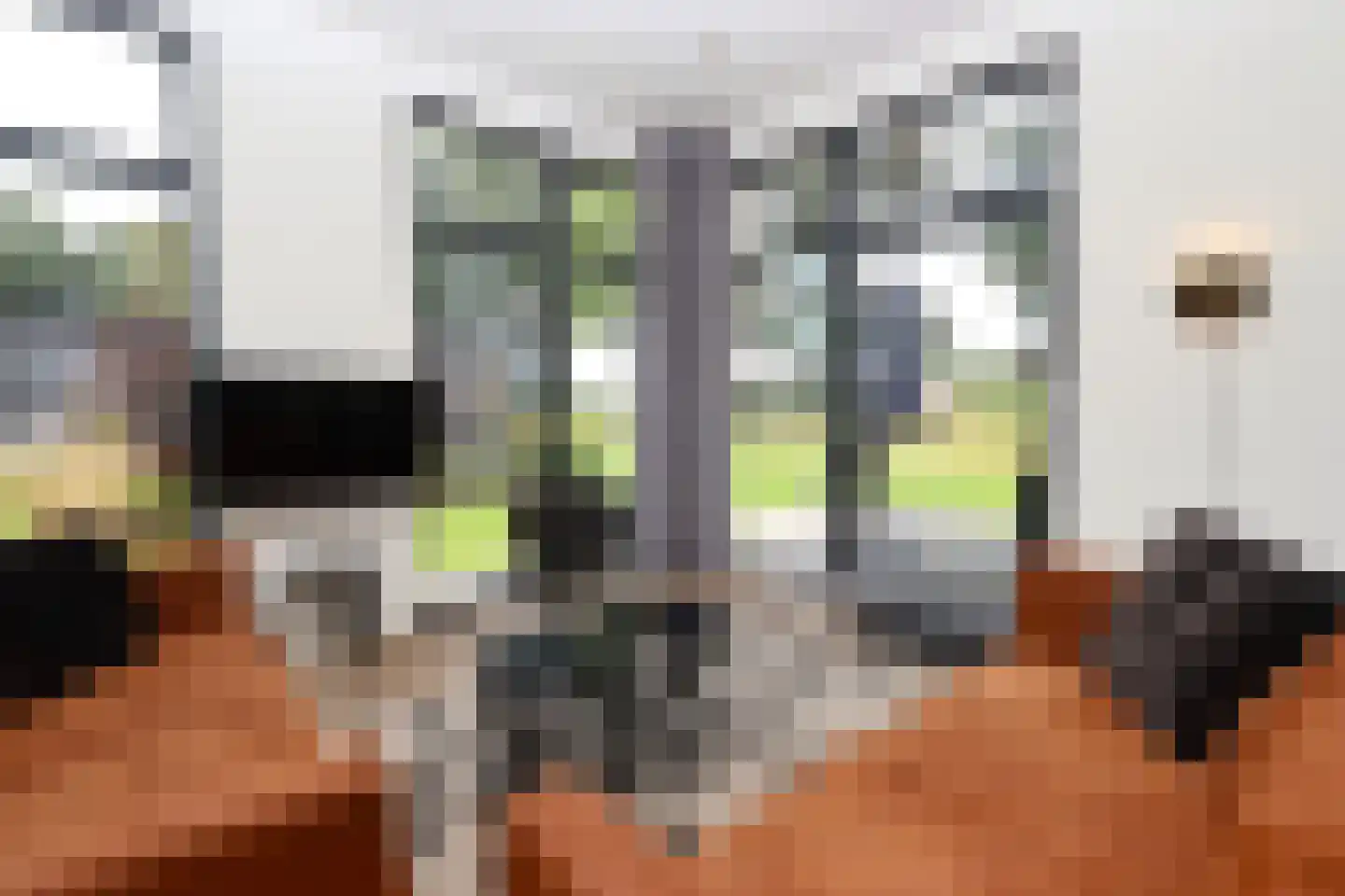 Bathmenseweg 7 H516 Kring van Dorth thumbnail 9
