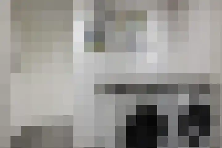 Batinge 115 Norg thumbnail 11