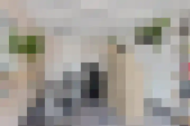 Batinge 115 Norg thumbnail 13