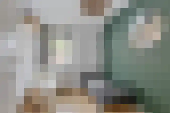 Batinge 115 Norg thumbnail 16