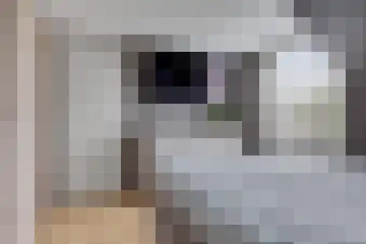 Batinge 115 Norg thumbnail 21