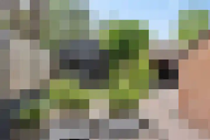 Batinge 115 Norg thumbnail 26