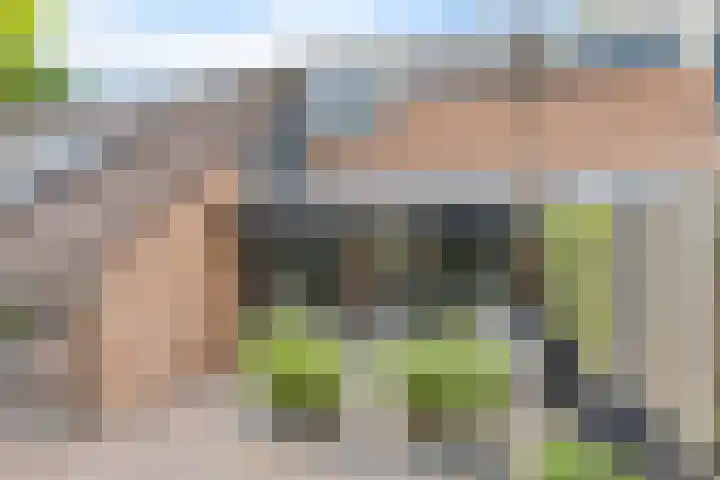 Batinge 115 Norg thumbnail 28