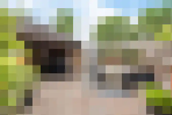 Batinge 115 Norg thumbnail 30