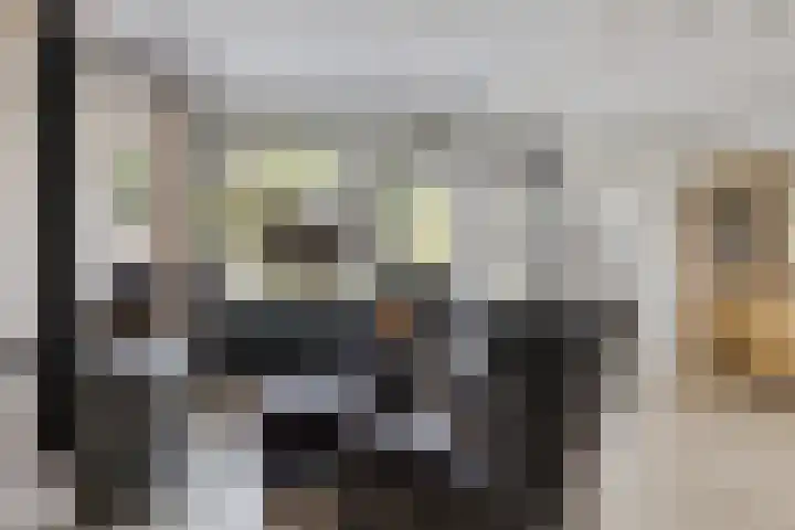 Batinge 115 Norg thumbnail 5