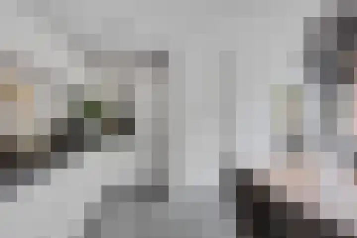 Batinge 115 Norg thumbnail 8