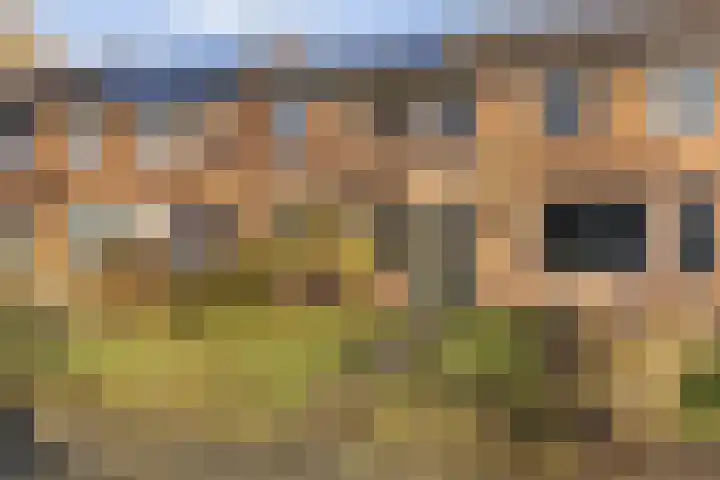 Batinge 129 Norg foto 3