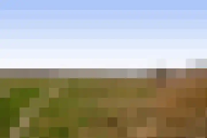 Batinge 129 Norg thumbnail 7