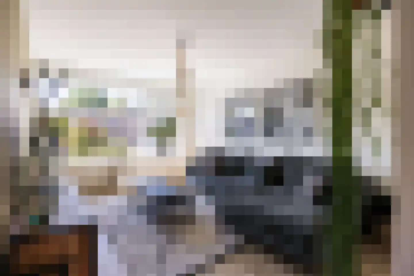 Batinge 24 Norg thumbnail 22