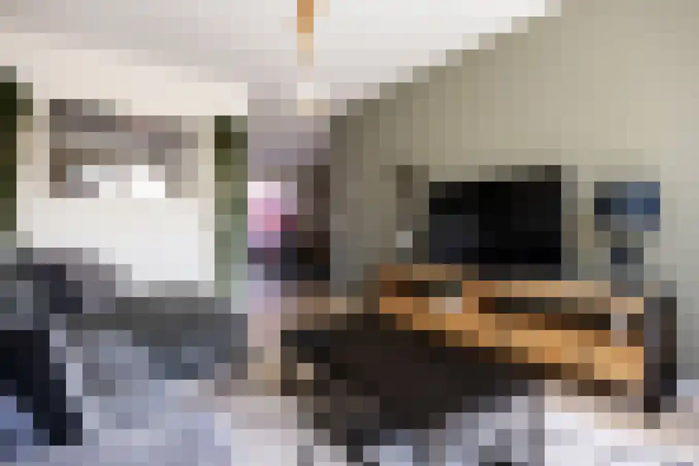 Batinge 24 Norg thumbnail 24