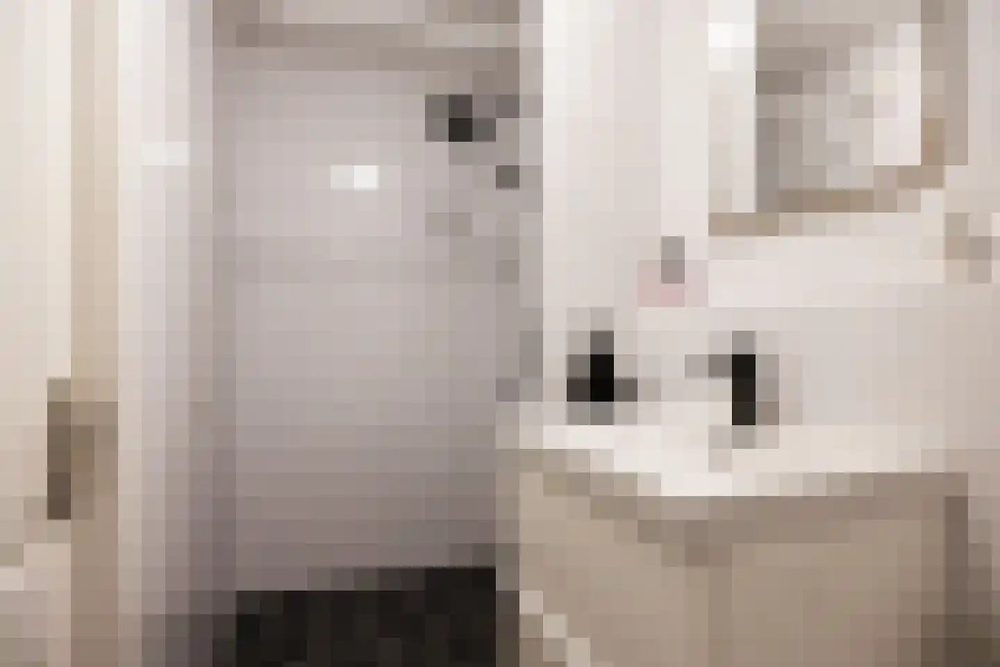 Batinge 24 Norg thumbnail 37