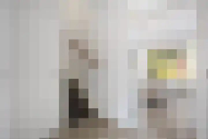 Batingehof 14 Emmen thumbnail 16