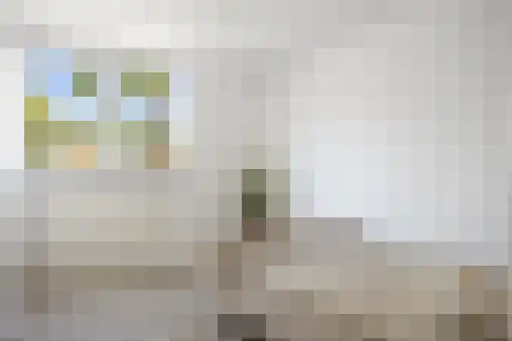 Batingehof 14 Emmen thumbnail 18