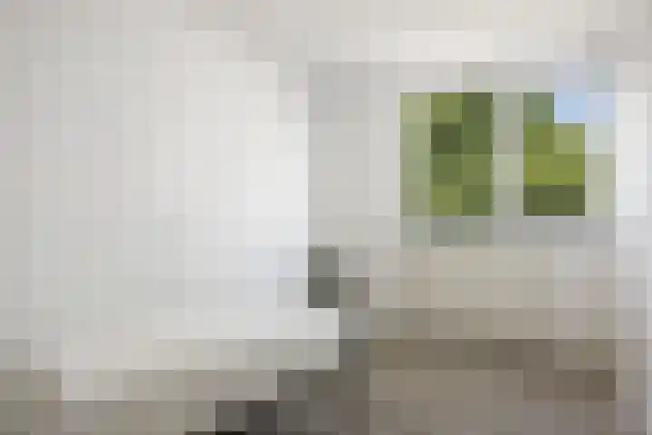 Batingehof 14 Emmen thumbnail 20