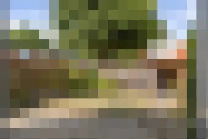 Batingehof 14 Emmen thumbnail 27