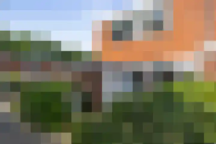 Batingehof 14 Emmen thumbnail 32