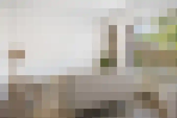 Batingehof 14 Emmen thumbnail 7