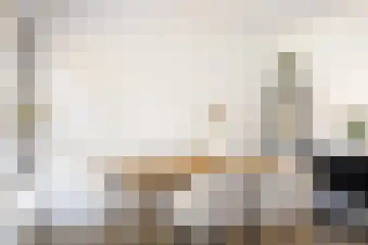 Batingehof 14 Emmen thumbnail 8