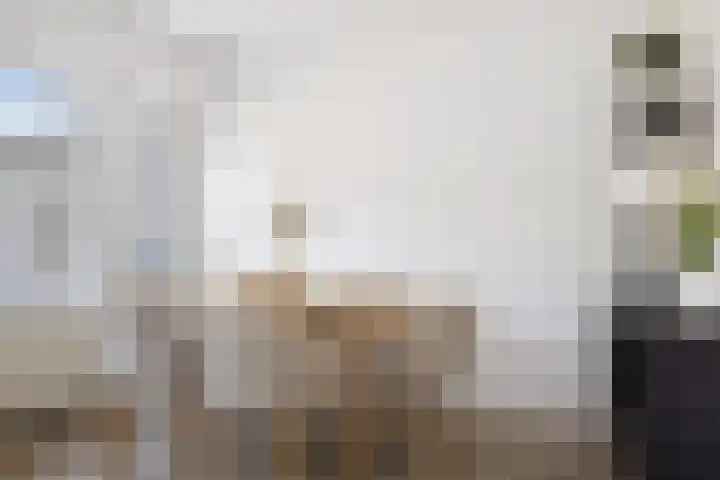 Batingehof 14 Emmen thumbnail 9