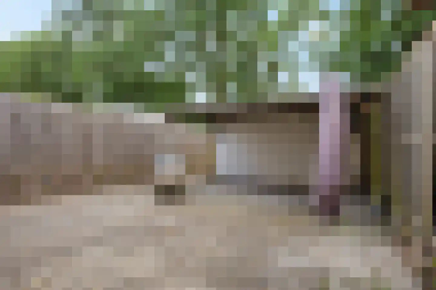 Batingehof 25 Emmen thumbnail 23