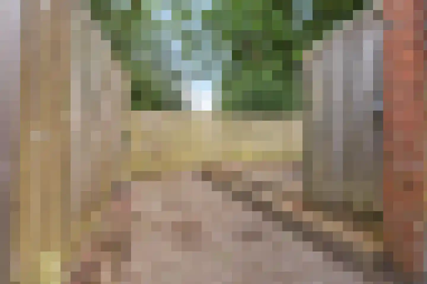 Batingehof 25 Emmen thumbnail 25