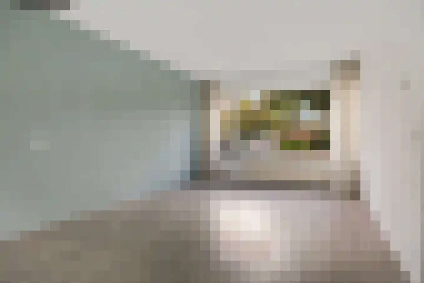 Batingehof 25 Emmen thumbnail 6