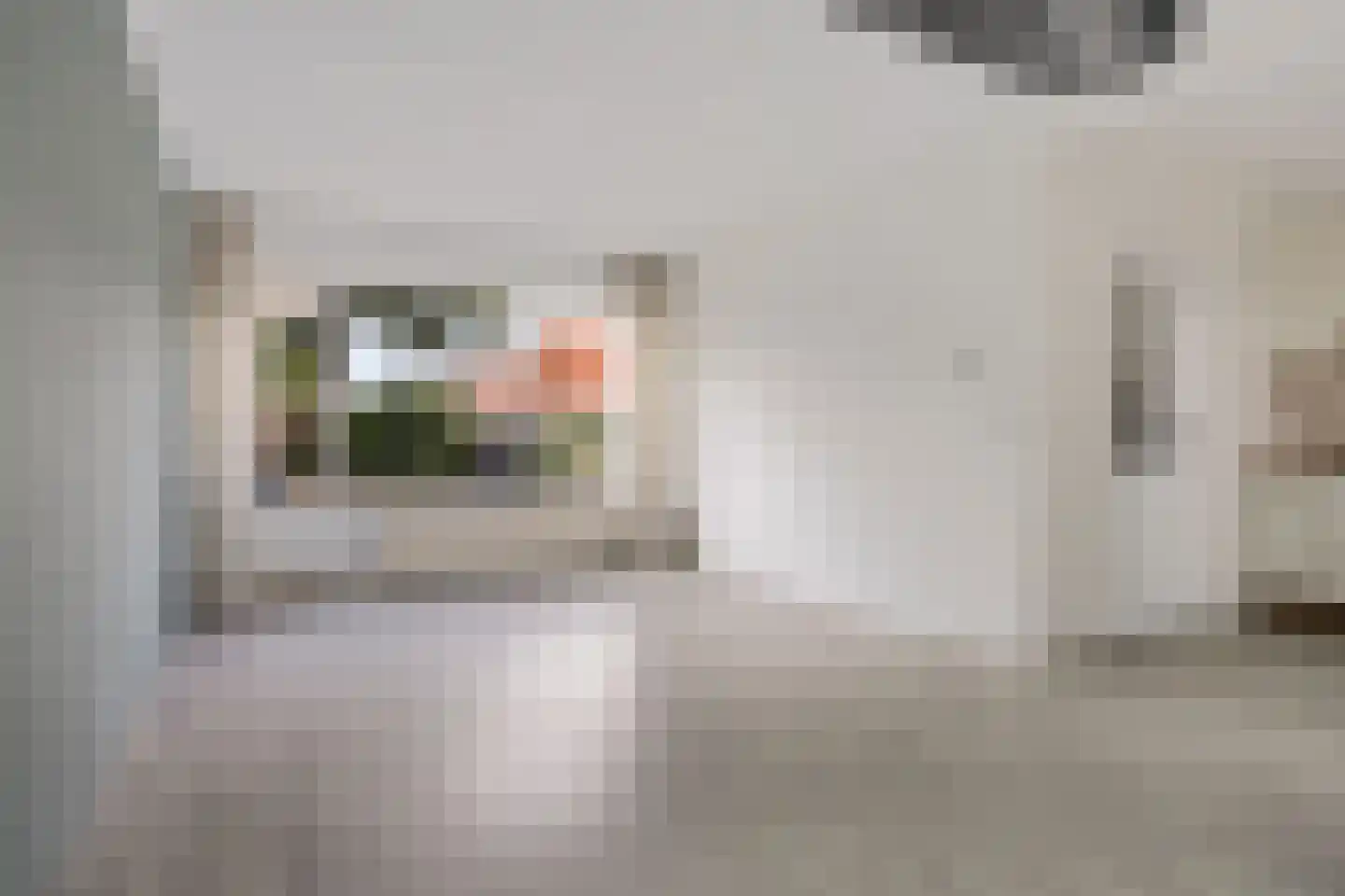 Batingehof 25 Emmen thumbnail 8