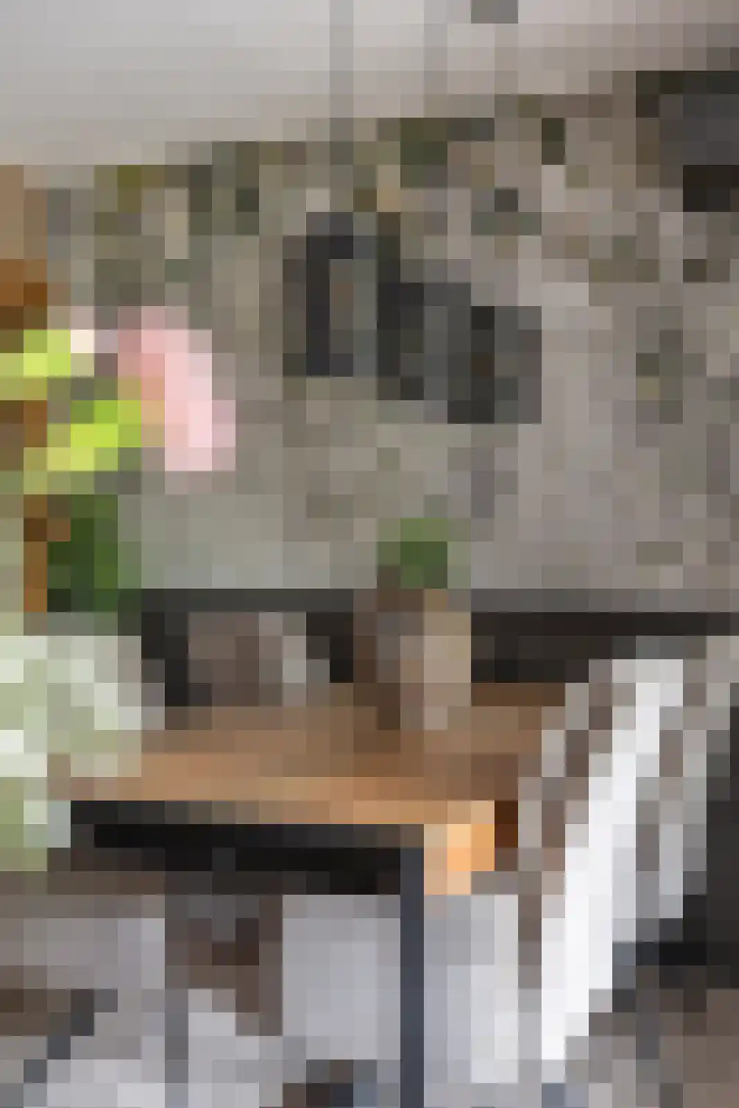 Batingehof 30 Emmen thumbnail 13