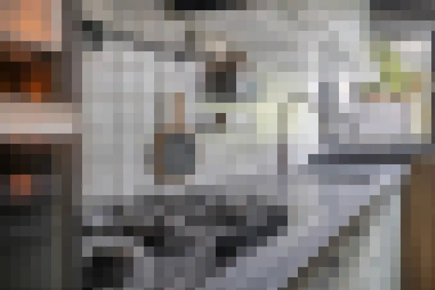 Batingehof 30 Emmen thumbnail 16