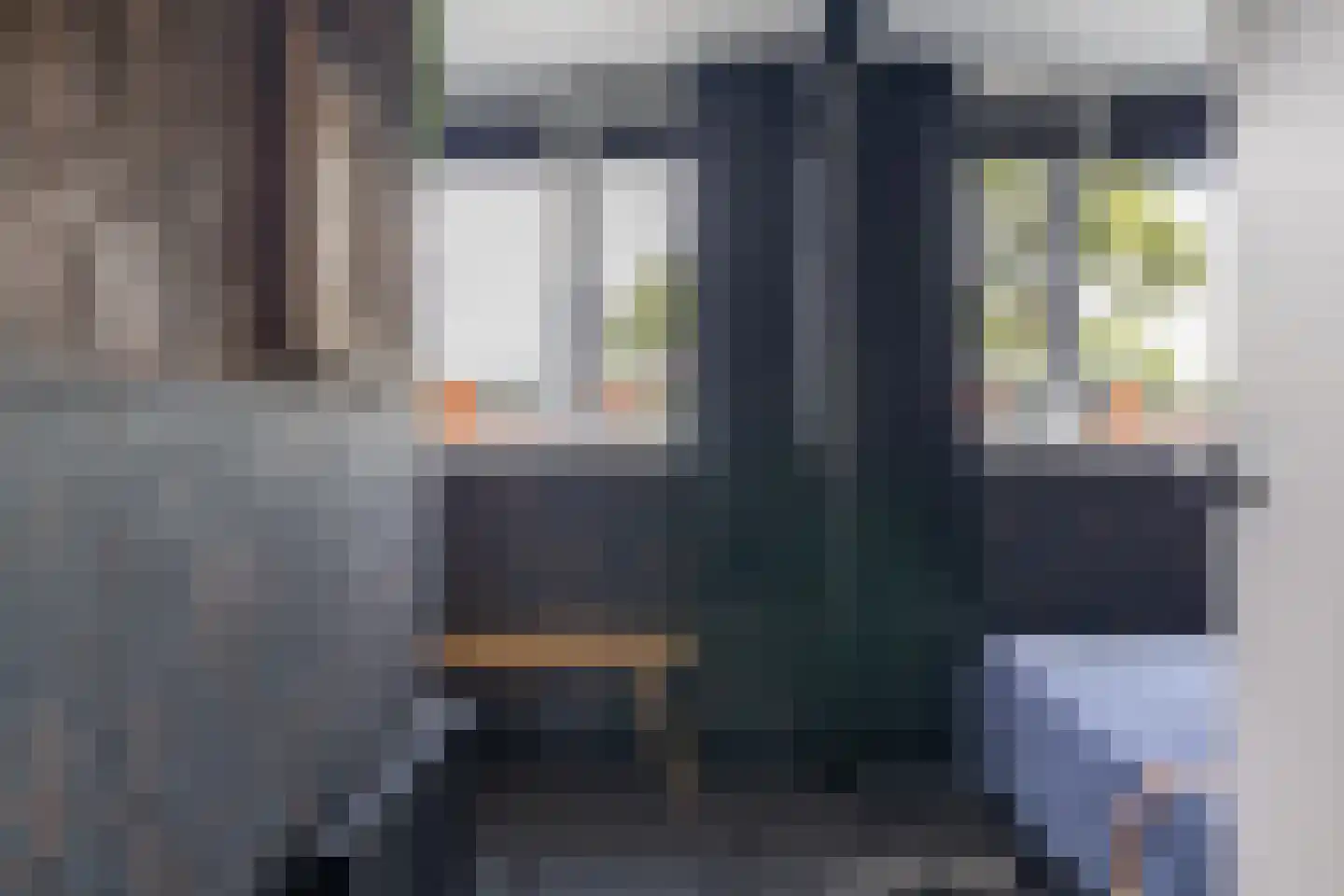Batingehof 30 Emmen thumbnail 33