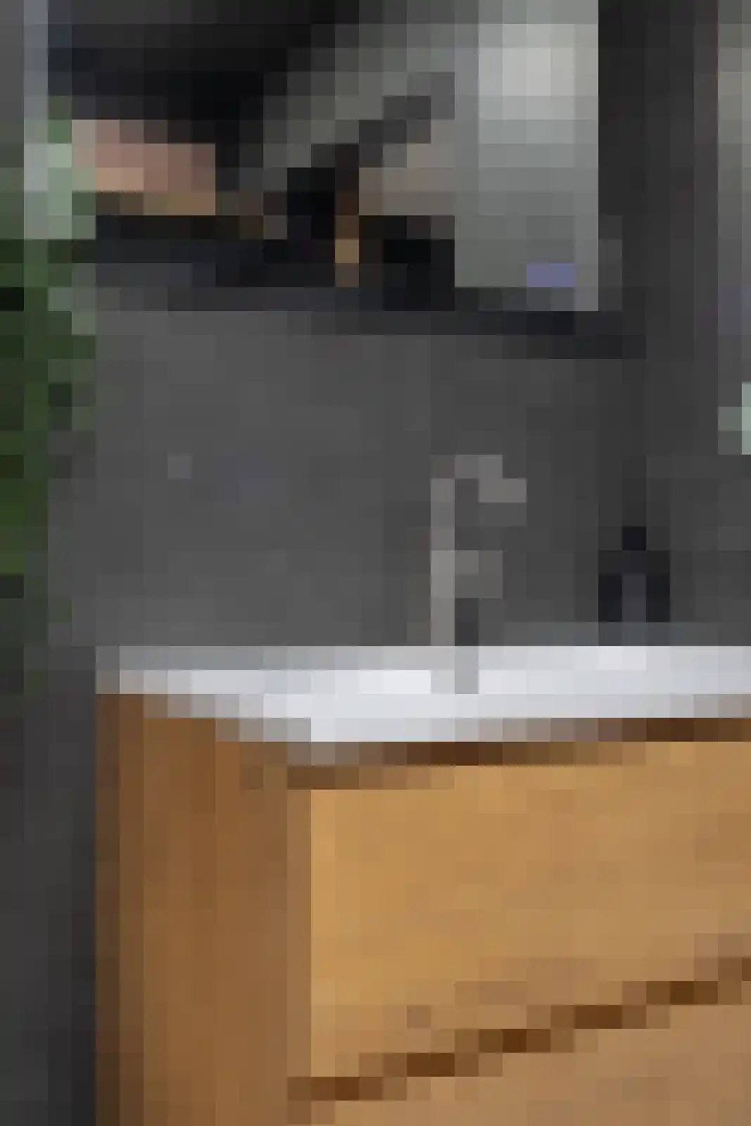 Batingehof 30 Emmen thumbnail 36