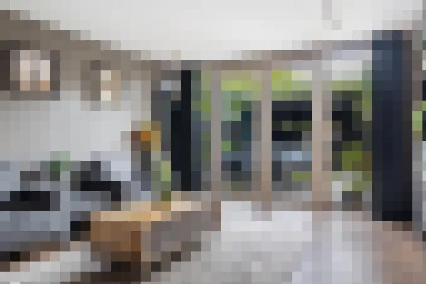 Batingehof 30 Emmen thumbnail 8