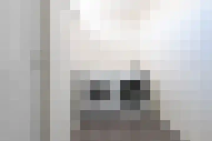 Batingehof 32 Emmen thumbnail 10
