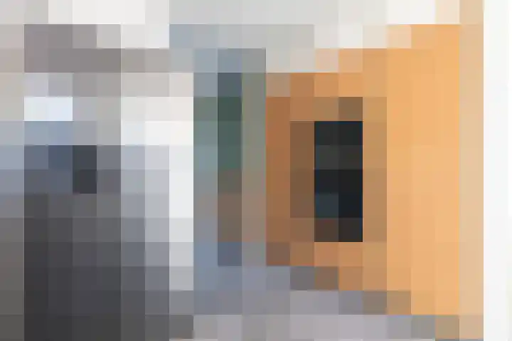 Batingehof 32 Emmen thumbnail 8