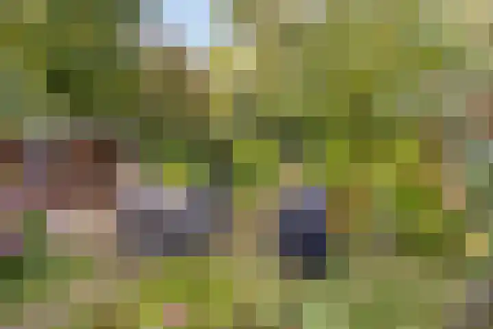 Batingehof 38 Emmen thumbnail 16