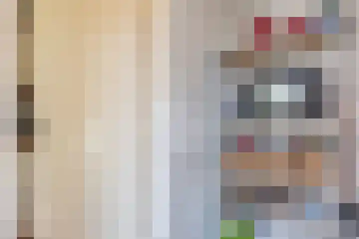 Batingestraat 33 Sleen thumbnail 13