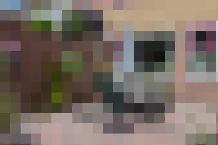 Batingestraat 33 Sleen thumbnail 43