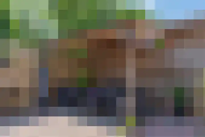 Batingestraat 33 Sleen thumbnail 44