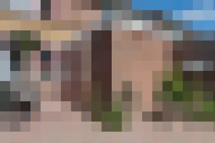 Batingestraat 33 Sleen thumbnail 45