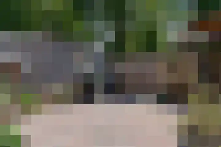 Batingestraat 33 Sleen thumbnail 46