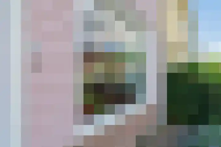 Batingestraat 33 Sleen thumbnail 7