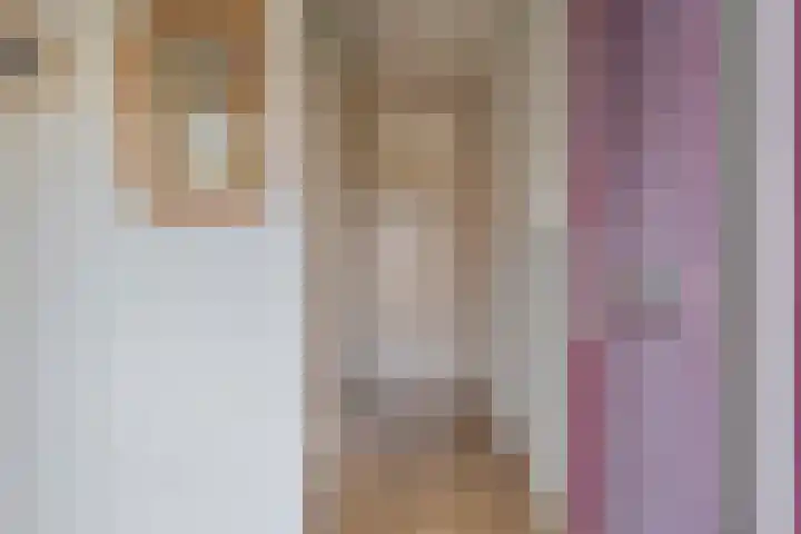 Batingestraat 33 Sleen thumbnail 8