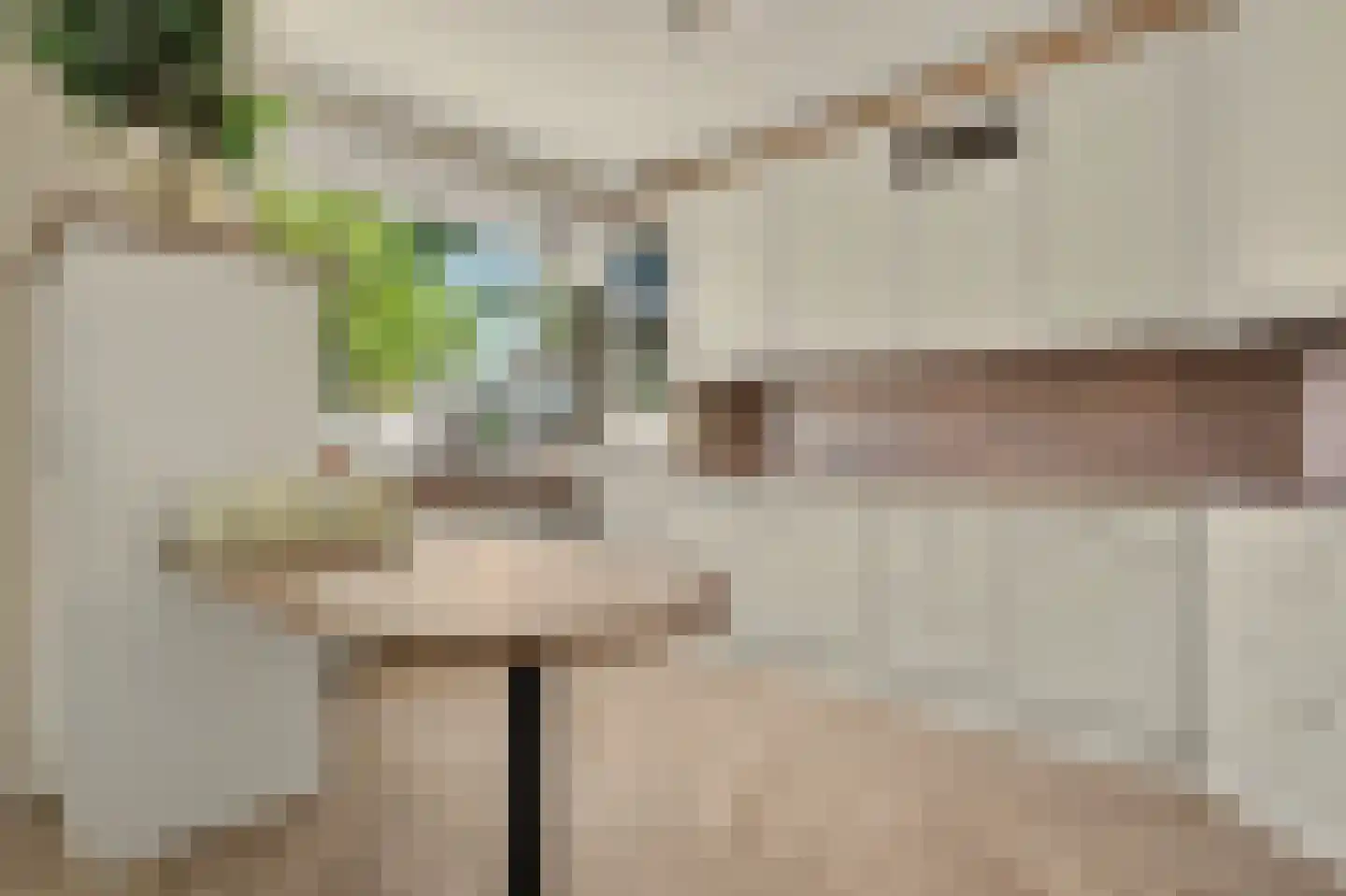 Batiststraat 1 's-Gravendeel thumbnail 13