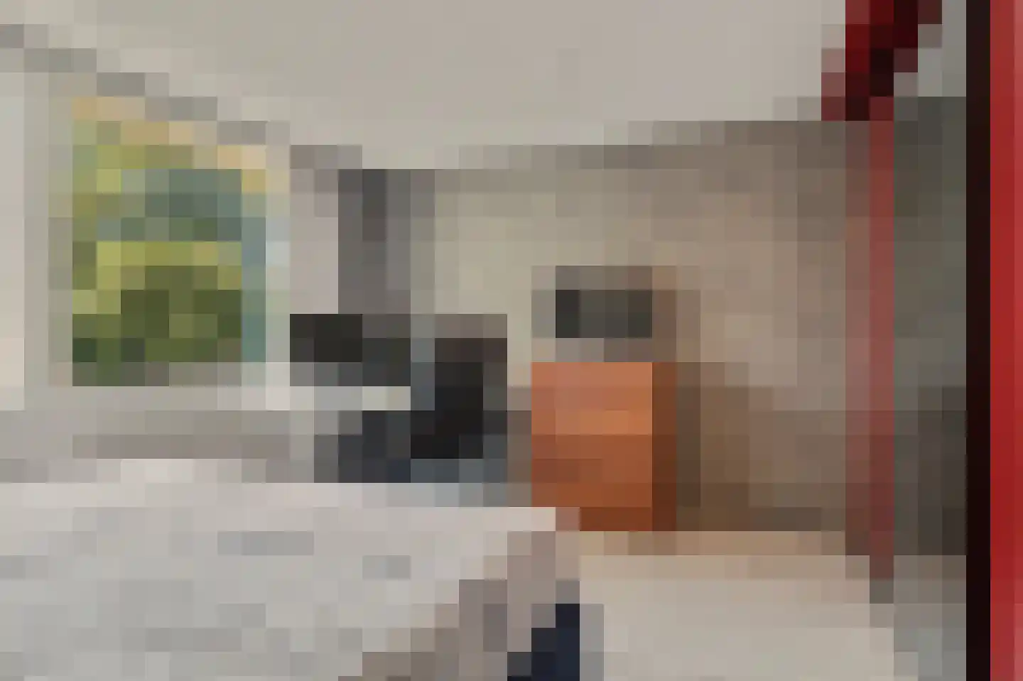 Batiststraat 1 's-Gravendeel thumbnail 19