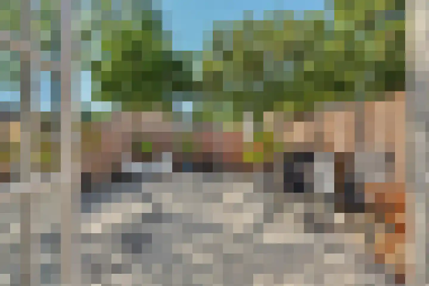 Batiststraat 1 's-Gravendeel thumbnail 33