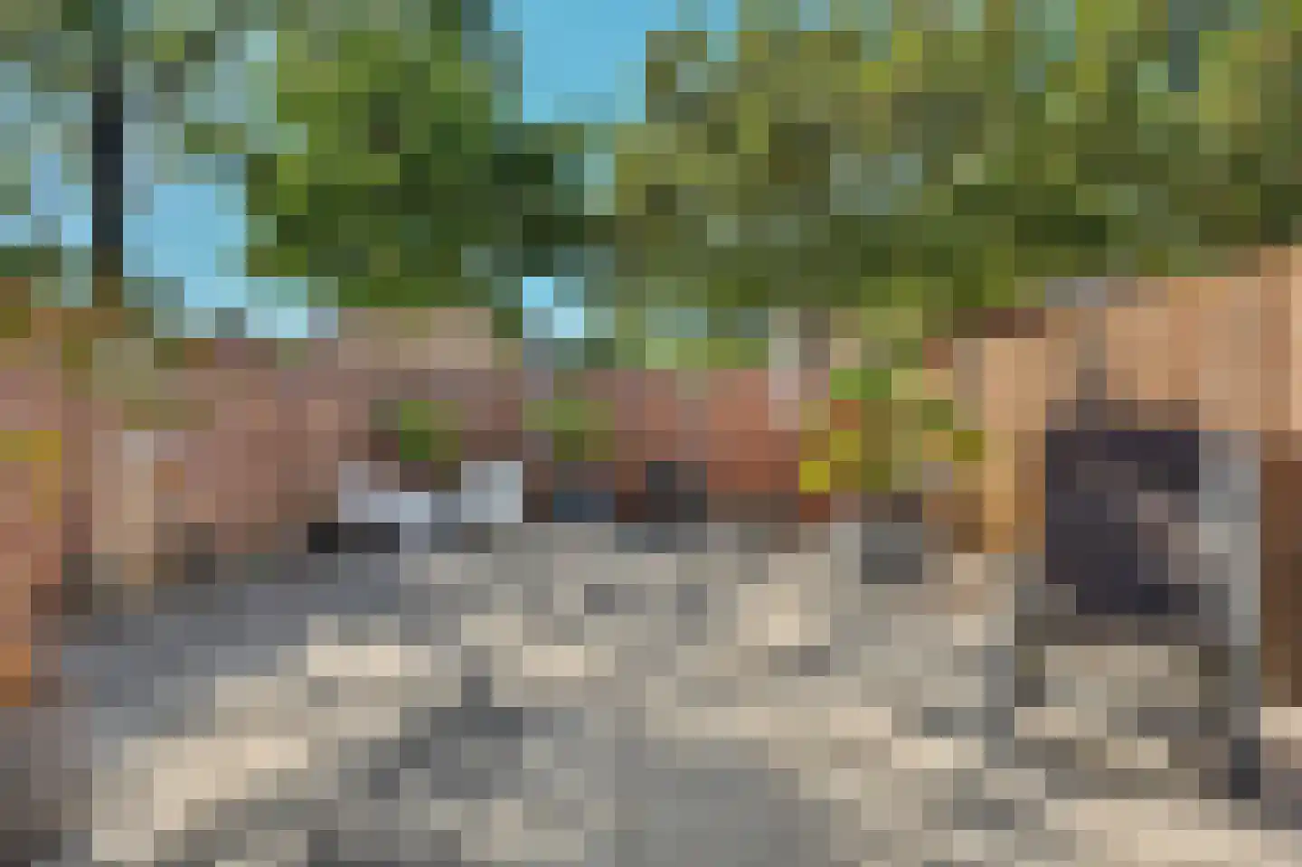 Batiststraat 1 's-Gravendeel thumbnail 34