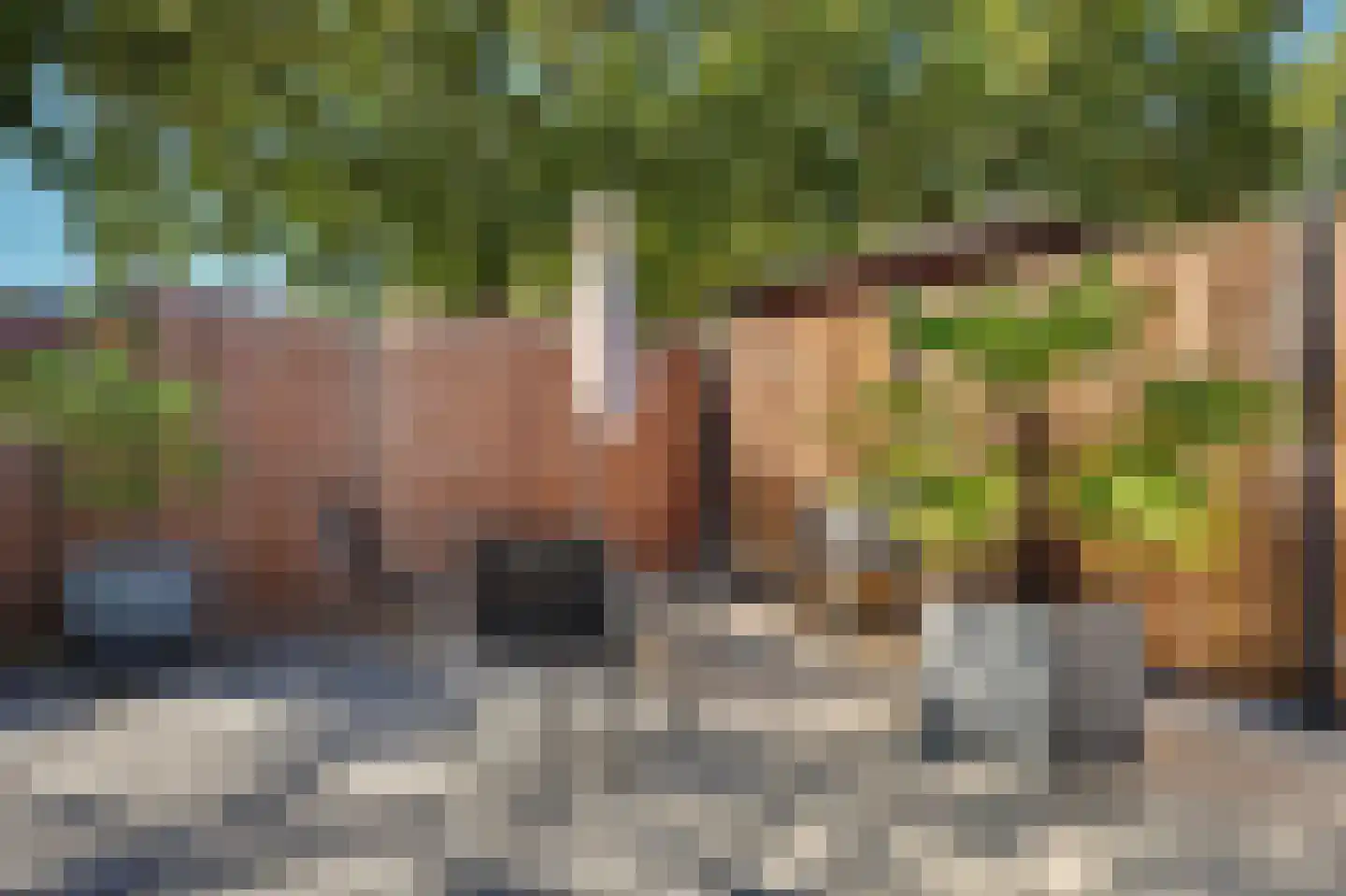 Batiststraat 1 's-Gravendeel thumbnail 35